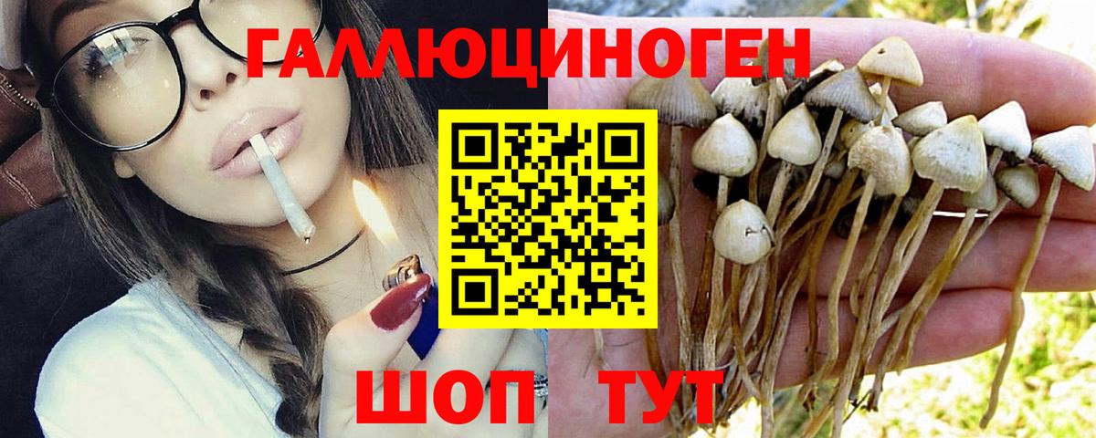 Псилоцибиновые грибы Magic Shrooms  Галлюциногенные грибы Psilocybe  Вход с VPN  Прохладный 